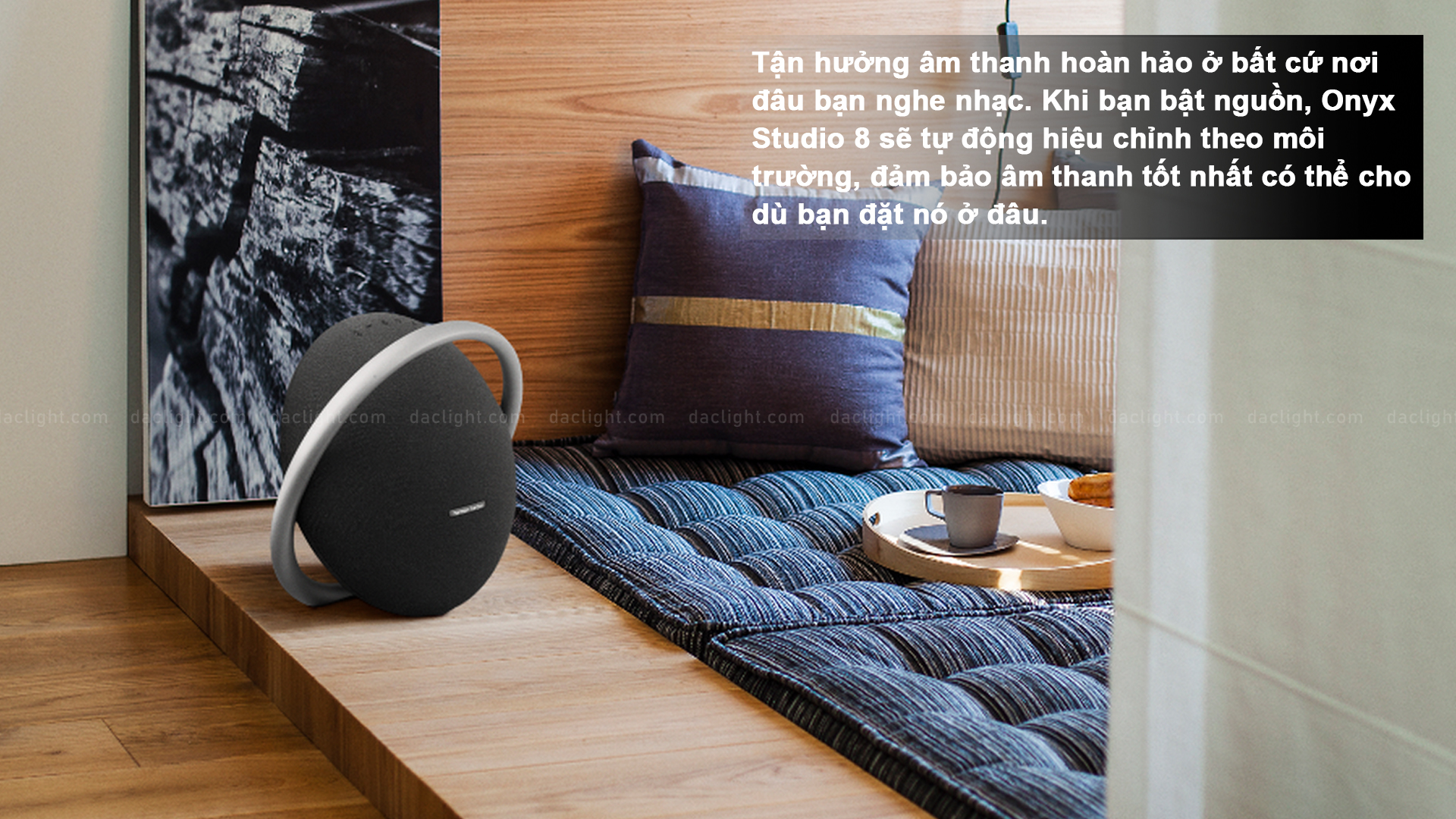 am-thanh-harman-kardon-onyx-8