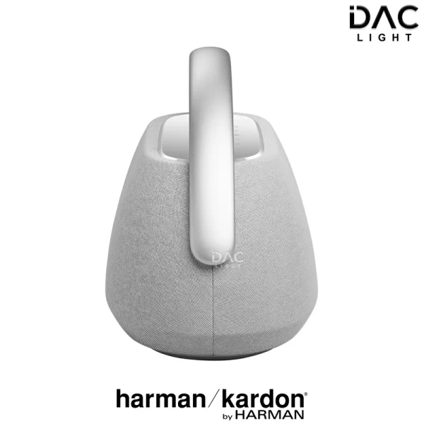 loa-harman-kardon-go-play-3-10